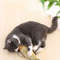pm5q20-30-40-Creative-Cat-Toy-3d-Fish-Simulation-Soft-Plush-Anti-Bite-Catnip-Interaction-Chewing.jpg