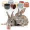 aTnmStacking-Cups-Toy-For-Rabbits-Multi-colored-Reusable-Small-Animals-Puzzle-Toys-For-Hiding-Food-Playing.jpg