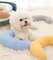 DBqh2022-new-cat-dog-pet-winter-pillow-sleep-U-shaped-throw-pillow-comfortable-sleep-aid-cervical.jpg