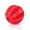 1IbwSilicone-Pet-Dog-Toy-Ball-Interactive-Bite-resistant-Chew-Toy-for-Small-Dogs-Tooth-Cleaning-Elasticity.jpg