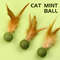 OvrwPet-Catnip-Toys-Edible-Catnip-Ball-Safety-Healthy-Cat-Mint-Cats-Home-Chasing-Game-Toy-Products.jpg