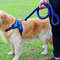 KJZuNylon-Dog-Harness-Leash-For-Medium-Large-Dogs-Leads-Pet-Training-Running-Walking-Safety-Mountain-Climb.jpg