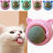 yygqCatnip-Toy-Catnip-Balls-for-Cat-Wall-Stick-on-Licking-Catnip-Wall-Ball-Catmint-Candy-Catnip.jpg