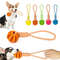 JY9jPet-Treat-Balls-with-Rope-Interactive-Dog-Rubber-Leaking-Balls-Toy-for-Small-Large-Dogs-Chewing.jpg