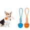 9uf6Pet-Treat-Balls-with-Rope-Interactive-Dog-Rubber-Leaking-Balls-Toy-for-Small-Large-Dogs-Chewing.jpg