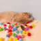 W3ocFunny-Cat-Interactive-Teaser-with-plush-ball-Training-Toy-Creative-Kittens-Mini-Pompoms-Games-Toys-Pets.jpg
