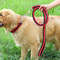 bvxRDouble-Strand-Braided-Rope-Large-Dog-Leashes-Metal-P-Chain-Buckle-Color-Pet-Traction-Rope-Collar.jpg
