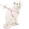 6xQuSoft-Adjustable-Plaid-Bowknot-Cat-Harness-Long-Leash-For-Small-Animal-Dog-Chest-Strap-Outdoor-Walking.jpg