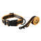 AkYrDog-walking-training-rope-dog-collar-leash-set-pet-cat-straps-for-small-medium-dogs-puppy.jpg