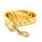QftDPersonalized-Banana-Pet-Collar-Puppy-Cat-ID-Tag-Adjustable-Custom-Name-Gold-Plating-Buckle-Orange-Basic.jpg