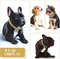 QpG4Luxury-Gold-Dog-Chain-Collar-Cuban-Chain-Link-Choke-Collar-for-Small-Medium-Large-Dogs-Cats.jpg