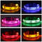JRaWLED-Dog-Collar-Light-Night-Safety-Nylon-Pet-Dog-Collar-Glowing-Luminous-Collar-Perro-Luz-Bright.jpg