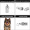 cV2ONew-Silver-Golden-Pet-Cat-Dog-ID-Tag-For-Dogs-Cats-Anti-Lost-Name-Address-Label.jpg