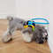 AvwbBlind-Pet-Anti-collision-Collar-Dog-Guide-Training-Behavior-Aids-Fit-Small-Big-Dogs-Prevent-Collision.jpg