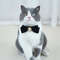 QTrjRetro-Cats-Collars-Velvet-Kitten-Bowknot-Bow-Tie-with-Pearl-Adjustable-Anti-suffocation-Puppy-Necklace-Pets.jpg