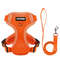 dgOn4-point-Adjustment-Dog-Harness-and-Leash-Set-for-Small-Dogs-Reflective-Mesh-Dog-Harness-Vest.jpg