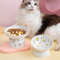 xUTDCat-Bowl-Ceramic-Cat-Food-Protects-Cervical-Vertebra-Oblique-Opening-Pet-High-Foot-Bowl-Cat-Food.jpg