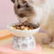 A6c9Cat-Bowl-Ceramic-Cat-Food-Protects-Cervical-Vertebra-Oblique-Opening-Pet-High-Foot-Bowl-Cat-Food.jpg