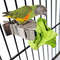 VjM11Pcs-Birds-Food-Holder-Pet-Parrot-Feeding-Fruit-Vegtable-Clip-Feeder-Device-Pin-Clamp-Durable-Household.jpg