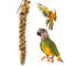 32hhStainless-Steel-Bird-Parrot-Feeder-Food-Fruits-Basket-Holder-Foraging-Equipment-Bird-Cage-Feeding-Device-Birds.jpg