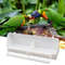 R5fkBird-Feeder-Feeding-Dish-Easy-Cleaning-Parakeet-Cockatiel-Food-Feeder-Reusable-Parrot-Food-Dispenser-Pet-Supplies.jpg