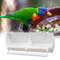 szt5Bird-Feeder-Feeding-Dish-Easy-Cleaning-Parakeet-Cockatiel-Food-Feeder-Reusable-Parrot-Food-Dispenser-Pet-Supplies.jpg