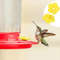 hKOu10Pcs-Hummingbird-Feeders-Replacement-Flowers-Outdoor-Plastic-Replacement-Feeding-Ports-Bird-Hanging-Feeder.jpg