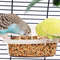 uMPUParrot-Feeder-Drinker-Bird-Supplies-Bird-Cage-Parrot-Birds-Water-Hanging-Bowl-Feeder-Box-Pet-Cage.jpg