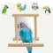 CAJfBird-Mirror-Wooden-Interactive-Play-Toy-With-Perch-For-Small-Parrot-Budgies-Parakeet-Cockatiel-Conure-Lovebird.jpg