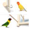 eGlgBird-Mirror-Wooden-Interactive-Play-Toy-With-Perch-For-Small-Parrot-Budgies-Parakeet-Cockatiel-Conure-Lovebird.jpg