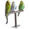 xra7T-Shape-Natural-Wooden-Pets-Parrots-Perches-Standing-Rack-18-15cm-Birds-Supplies-Cage-Decor-Accessories.jpg