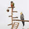 T8NYHotsale-Bird-Swing-Toy-Wooden-Parrot-Perch-Stand-Playstand-With-Chewing-Beads-Cage-Playground-Bird-Swing.jpg