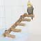 TU7dNatural-Wood-Parrot-Bird-Perches-Bird-Stand-Paw-Grinding-Fork-Parakeet-Climb-Stand-Branch-Ladder-Toys.jpg