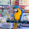 H6X2Flexible-Bird-Stand-Toy-Hanging-Braided-Bird-Chew-Rope-Curved-Bird-Stand-Perch-Cage-Toy-Parrots.jpg