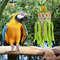 i8n01pcs-Parrot-Chew-Toy-Pet-Plaything-Hanging-Bird-Molar-Toys-Large-Birds-Wooden-Foraging-Natural-Cage.jpg