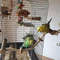 R5MfPet-Parrot-Wooden-Perch-Stand-Hanging-Climbing-Hammock-Swing-Standing-Training-Toys-Bird-Cage-Wood-Branch.jpg