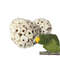 OFA73-Pieces-Bird-Toys-Natural-Sola-Balls-Soft-Chew-Shred-Foraging-Toy-for-Parrot-Parrotlet-Budgie.jpg