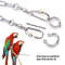 8WSmBird-Parrot-Foot-Chain-Stainless-Steel-Ankle-Foot-Ring-Stand-Chain-Outdoor-Flying-Training-Starling-Pigeon.jpg