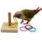 vFbfBird-Training-Toys-Set-Wooden-Block-Puzzle-Toys-For-Parrots-Colorful-Plastic-Rings-Intelligence-Training-Chew.jpg