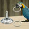 0QTdBird-Parrots-Interactive-Training-Toys-Intelligence-Development-Stacking-Metal-Ring-Training-Sets-Birds-Supplies-Pet-Accessories.jpg