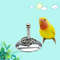 qyPlBird-Parrots-Interactive-Training-Toys-Intelligence-Development-Stacking-Metal-Ring-Training-Sets-Birds-Supplies-Pet-Accessories.jpg