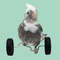 y6p1Parrot-Balance-Car-Deboring-Toys-Small-And-Medium-Sized-Bird-Supplies-Roller-Skateboard-Skill-Training-Props.jpg