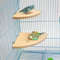 sAWqParrot-Hamster-Stand-Board-Wood-Perch-Stand-Bracket-Toy-Hamster-Branch-Perch-Bird-Cage-Toy-Cage.jpg