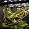 7KlMLarge-Flexible-Vines-Rattan-Habitat-Decoration-Bendable-Jungle-Branches-Climb-Pet-Supplies-Reptiles-Terrarium-Decor-1.jpg