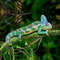 Roaf1-Pc-Reptile-Vine-Small-Animals-Habitat-Forest-Bend-Branch-For-Lizard-Landscape-Simulation-Plant-Rattan.jpg