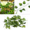 ZL5DArtificial-Vine-Reptile-Lizards-Terrarium-Decoration-Chameleons-Climb-Rest-Plants-Leaves.jpg