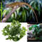 1jSuArtificial-Vine-Reptile-Lizards-Terrarium-Decoration-Chameleons-Climb-Rest-Plants-Leaves.jpg