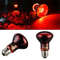 6tlkLED-Red-Reptile-Night-Light-UVA-Infrared-Heat-Lamp-Bulb-for-Snake-Lizard-Reptile-60W-75W.jpg