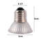 C4yq25-50-75W-UVA-UVB-3-0-Reptile-Lamp-Bulb-Turtle-Basking-UV-Light-Bulbs-Heating.jpg