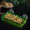 yQpbReptile-Transparent-Feeder-Anti-escape-Food-Bowl-Worm-Live-Container-With-Strong-Suction-Cups-Pet-Supplies.jpg